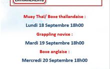 Reprise des cours Sports de combat